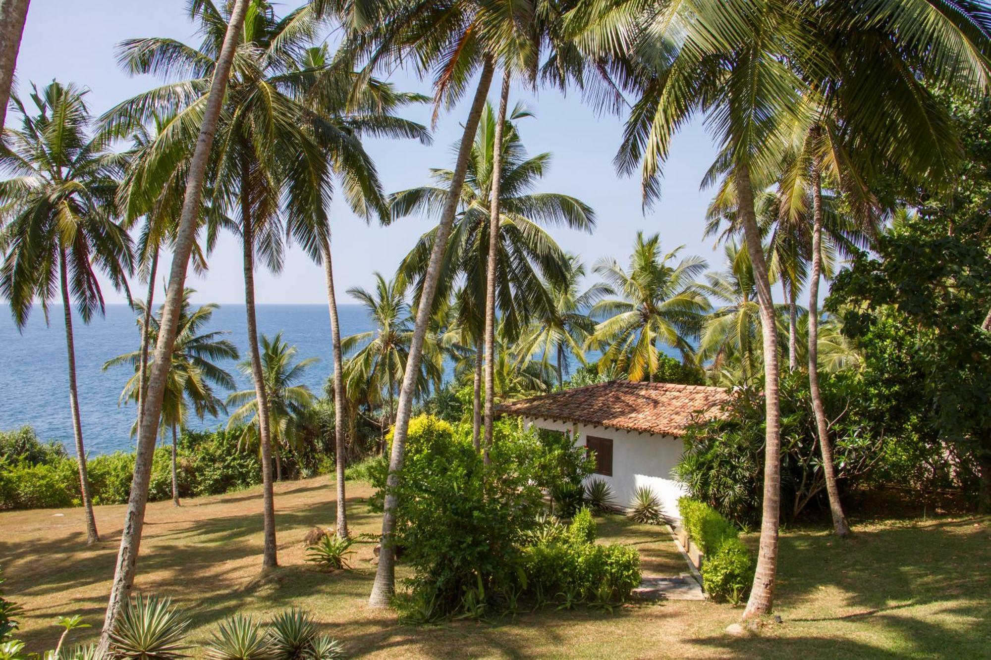 The Saffron House Hotel Dikwella Luaran gambar