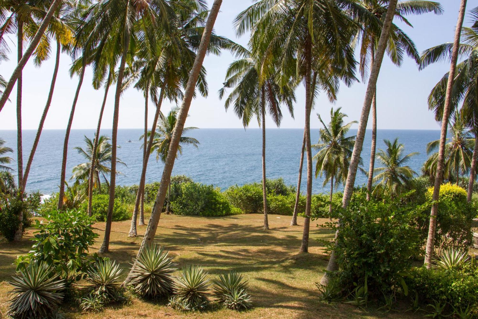 The Saffron House Hotel Dikwella Luaran gambar