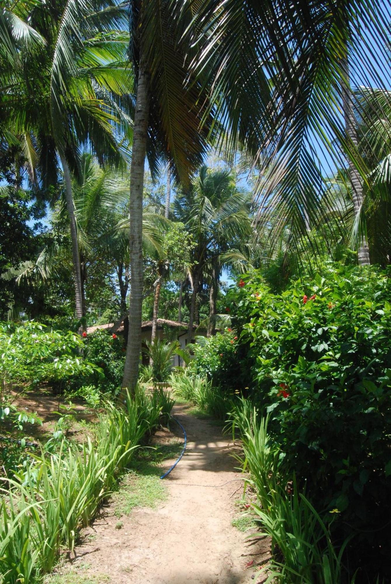 The Saffron House Hotel Dikwella Luaran gambar