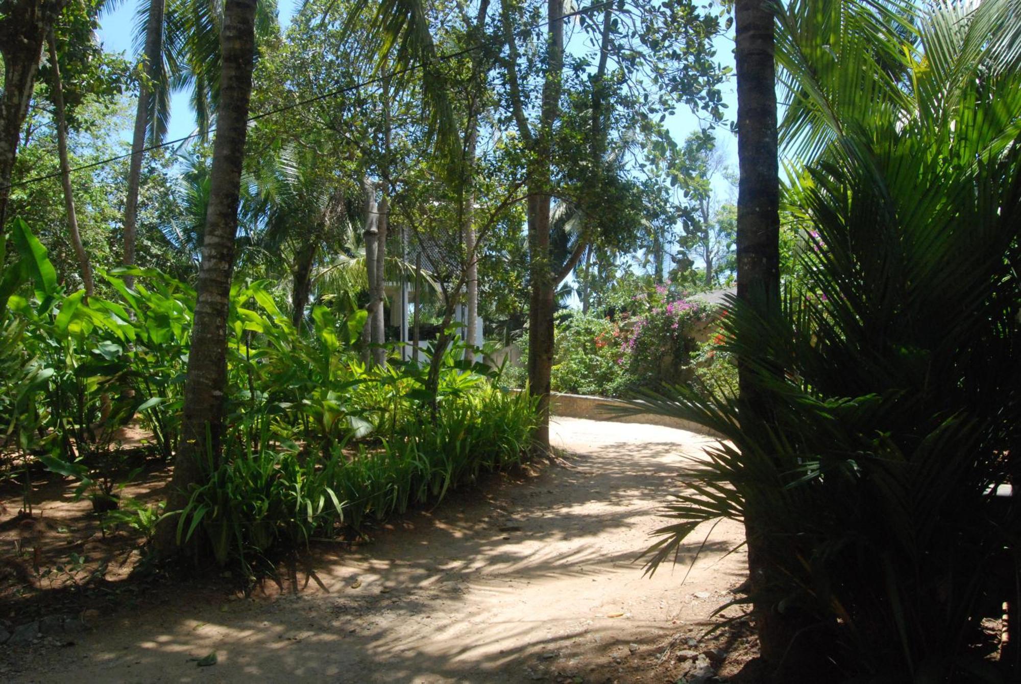 The Saffron House Hotel Dikwella Luaran gambar