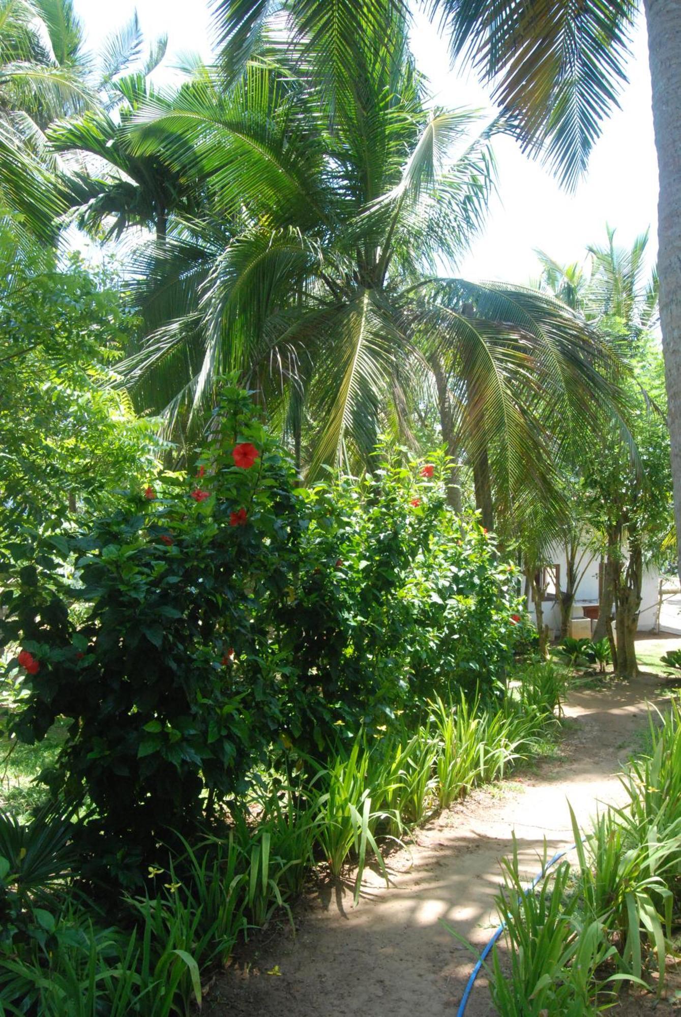 The Saffron House Hotel Dikwella Luaran gambar